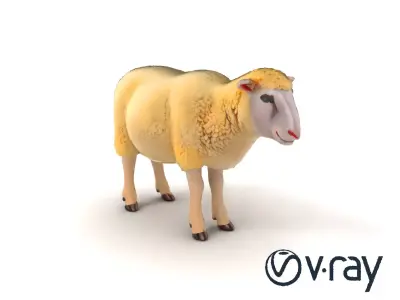 Fluffy White Sheep Grazing model pack Low-poly 3D model