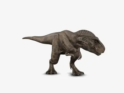 Tyrannosaur 3D model