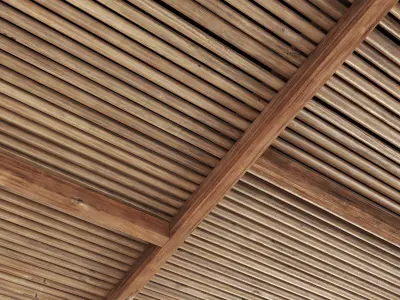 Ceiling straight thin branch n6 3D model