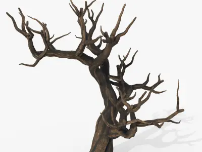 Aquarium Snag V1 1 3D model