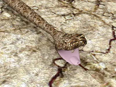 AAA Very Low Poly Snake Low-poly 3D model