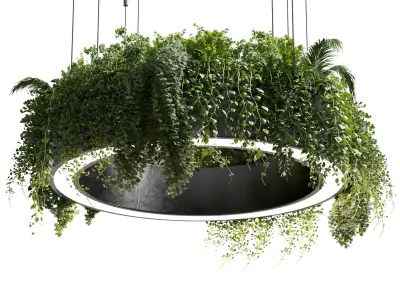 pot light pendant plant light hanging 05 3D model