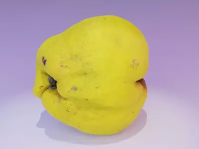 Quince fruit 05 high-poly 3D model