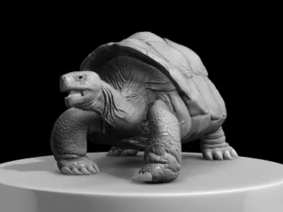 Large land turtle 3D model