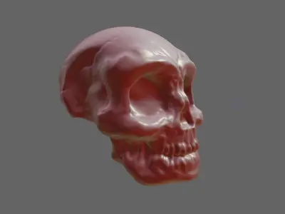 Skull Head for 3d Print - Caveira 3D model