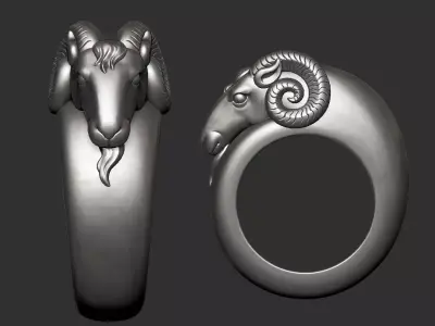 ram ring 3D print model