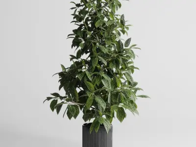 indoor plant 295 pot plant concrete dirt vase Low-poly 3D model