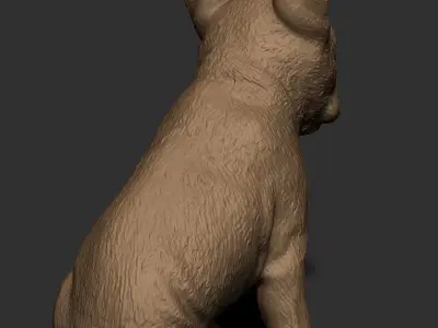 Frenchie Bulldog 3D print model