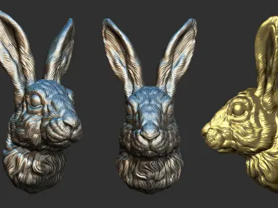 Hare head 3D print model