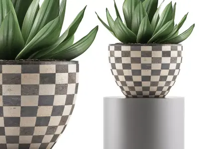 Plants Collection 118 3D model