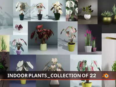 Indoor Plants Collection of 22 Potted Plant Models Low-poly 3D model