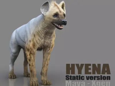Hyena Static  Xgen core 3D model
