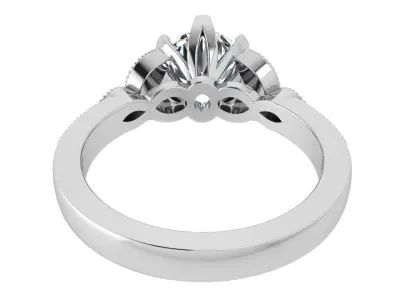 Peg Setting Milgrain Ring 3488 3D print model