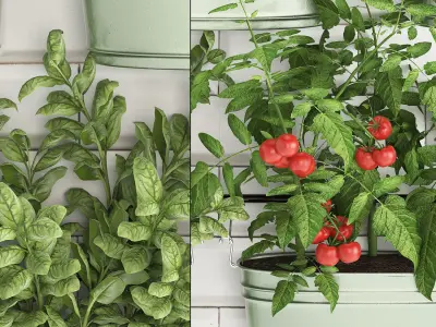 Decorative plants for the kitchen on railing 380 2 3D model