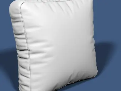 Pillow 60 3D model