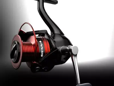 Molinete Shimano Sienna Free 3D print model