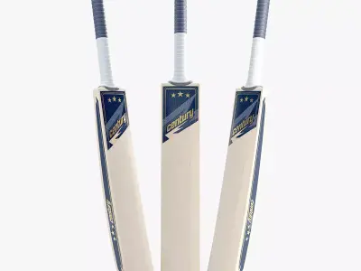 Cricket  3D model