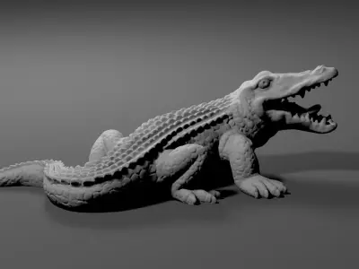Alligator Crocodile  3D model