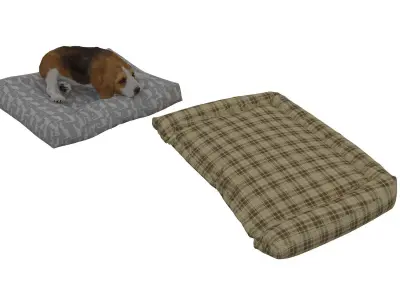 Beagle Dog Bed 3D model