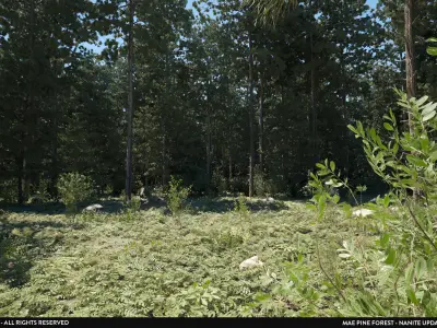 MAE Pine Forest - Unreal Engine Low-poly 3D model