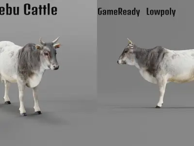 Asian Zebu Cattle Animal Low-poly 3D model