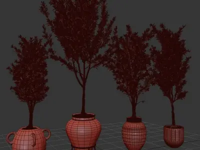 Indoor Plant olive Set 01 3D model