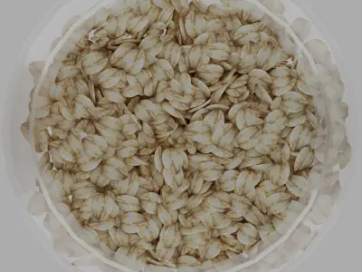 Kitchen set of jars 3D model