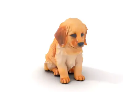 Golden Retriever Puppy model pack Low-poly 3D model