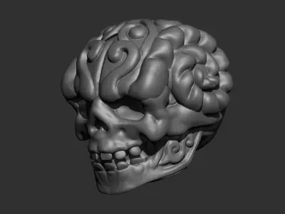 skull 3D print model