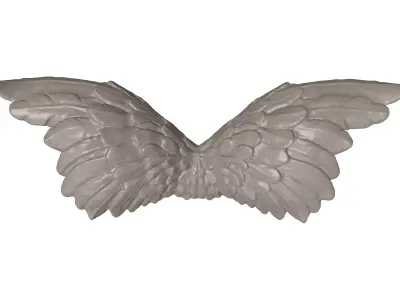 Detailed Angelic Mythological Wings 3D Print Model  3D print model