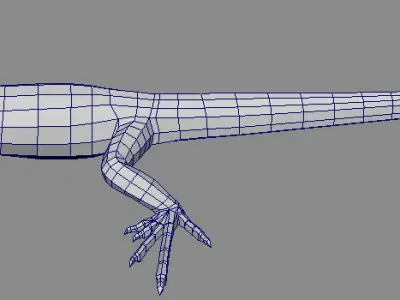 Lizard  Animation Low-poly 3D model