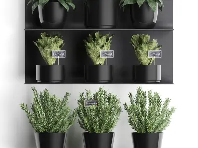 Plant set wall decor vertical garden 51 3D model