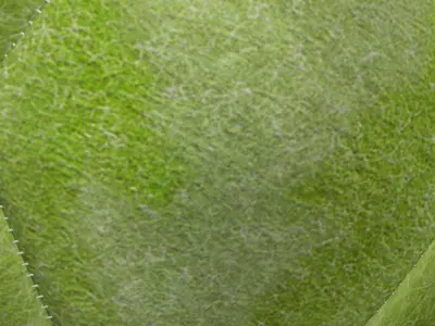 Soccerball indoor Low-poly 3D model