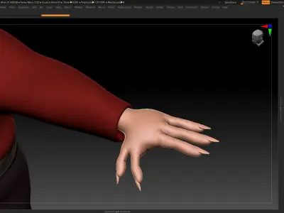Koala Basemesh - Created in ZBrush 2021 3D model