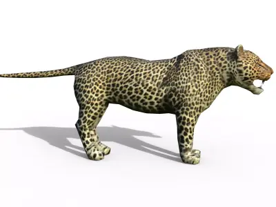Leopard game ready Low-poly 3D model
