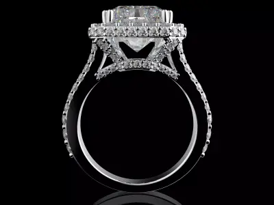 Gold N1569 3D print model