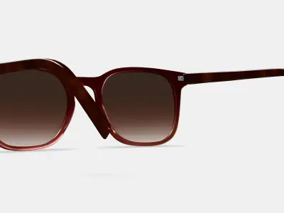 Rosie Sunglasses in Mulberry Tortoise Fade Low-poly 3D model