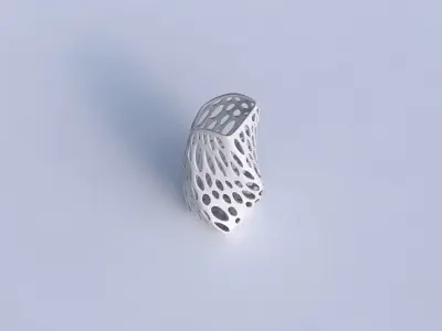 Vase twisted arc quadratic with smooth organic lattice 3D print model