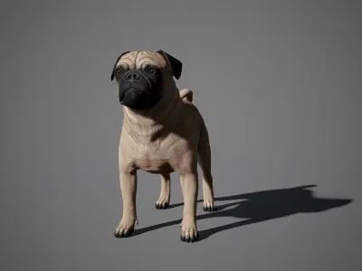 Pug Real-Time Low-poly 3D model