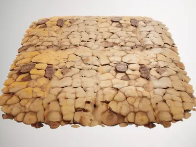 HQ PBR Textures Set  Nut Shell Bumpy Texture