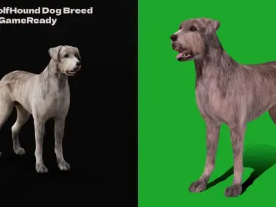 Irish Wolfhound Dog Low-poly 3D model