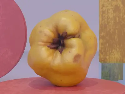 Quince fruit 03 high-poly 3D model