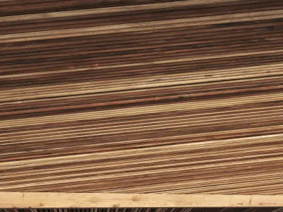 Ceiling straight thin branch n1 3D model