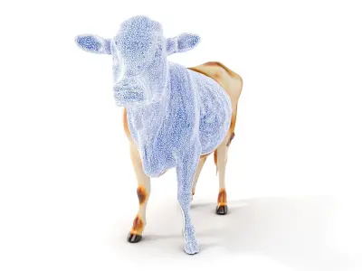 Realistic Cow Model Pack for Animation and Games Low-poly 3D model