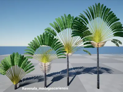 HQ Plants Volume 3 Palms for unreal engine 3D model set of 24 3D model