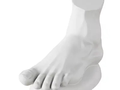 Plaster foot 3D model