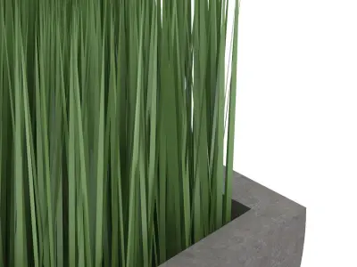 Potted grass Free 3D model