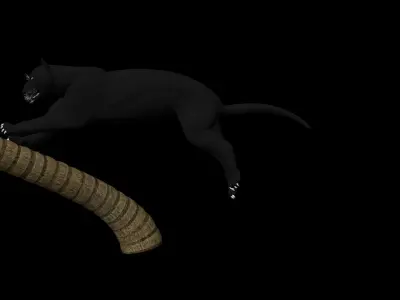 Black Panther Jumping on Plam Tree 3D model