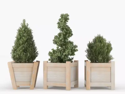 Buxus three wooden planters 3D model