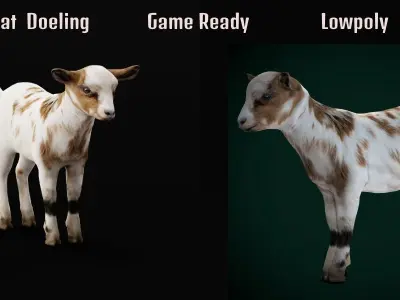 Kid Baby Goat Doeling Low-poly 3D model